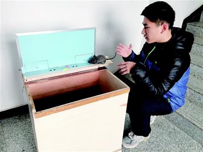 D飺ֹĲ